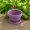 2025/09/1000059440.jpg Indoor & Outdoor Flower Pot.